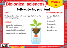 STEM-Biological-Sciences-project-card-F